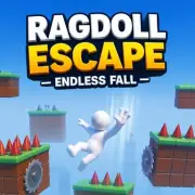 Ragdoll
